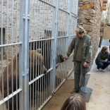 Visit of Children from the Oncology Clinic 12.04.2011