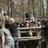 Releasing of Gelada Baboon Heiko 21.03.2010