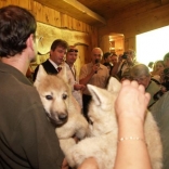 Christening of Arctic Wolves 30.06.2009