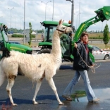 Children´s Day in Avion Shopping Park 31.05.2009