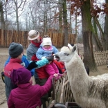 Christmas Eve Feeding of Animals 24.12.2007