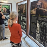 Minulost i budoucnost. Zoo Brno slaví 70 let od otevření výstavou v Urban centru
