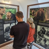 Minulost i budoucnost. Zoo Brno slaví 70 let od otevření výstavou v Urban centru
