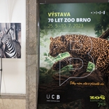 Minulost i budoucnost. Zoo Brno slaví 70 let od otevření výstavou v Urban centru