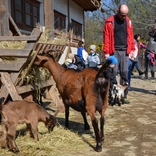 O víkendu přivítáme v Zoo Brno Velikonoce