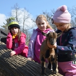 O víkendu přivítáme v Zoo Brno Velikonoce