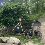 Medvědice kamčatská Irina odjela do nového domova v Zoo Děčín