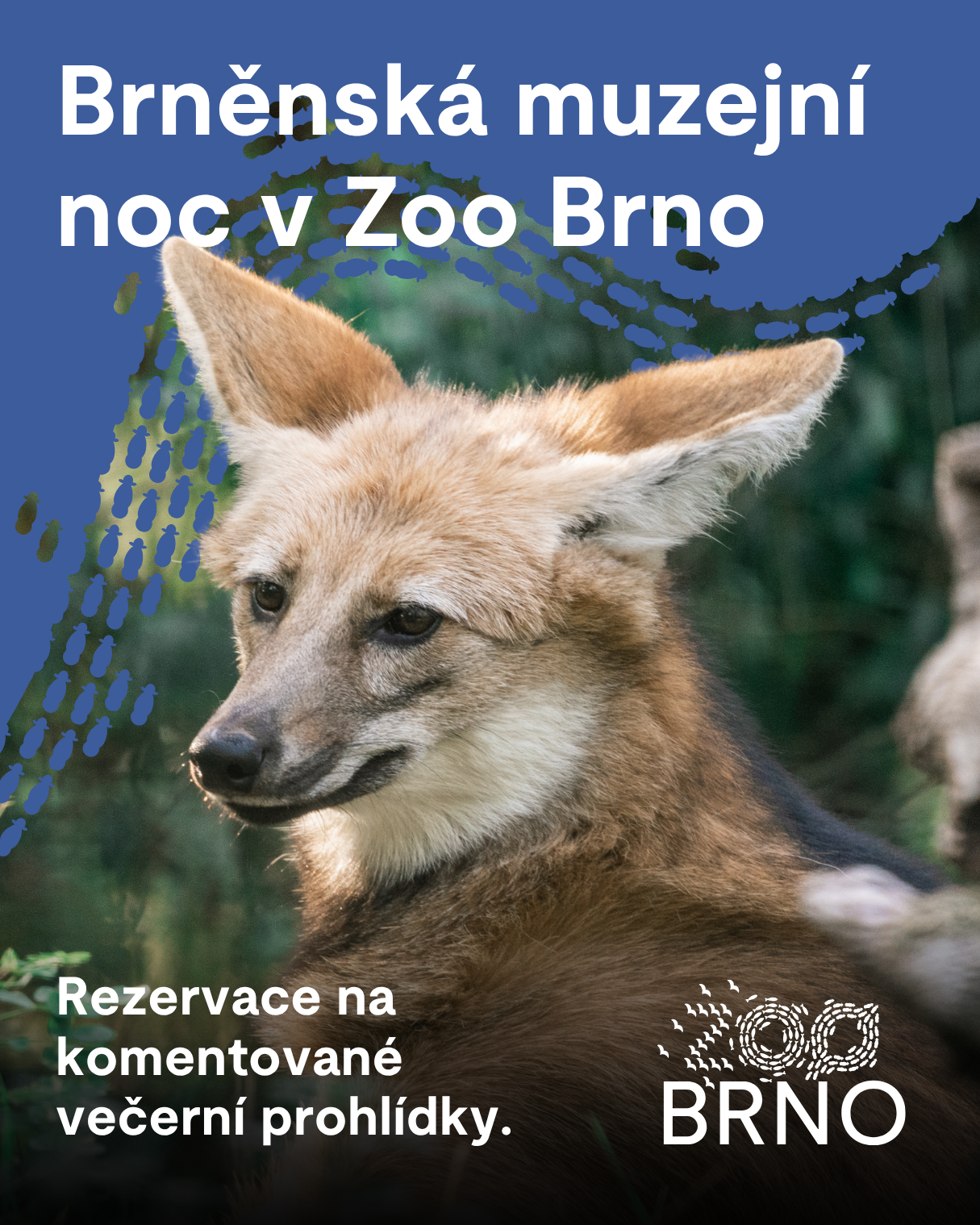 pozvánka