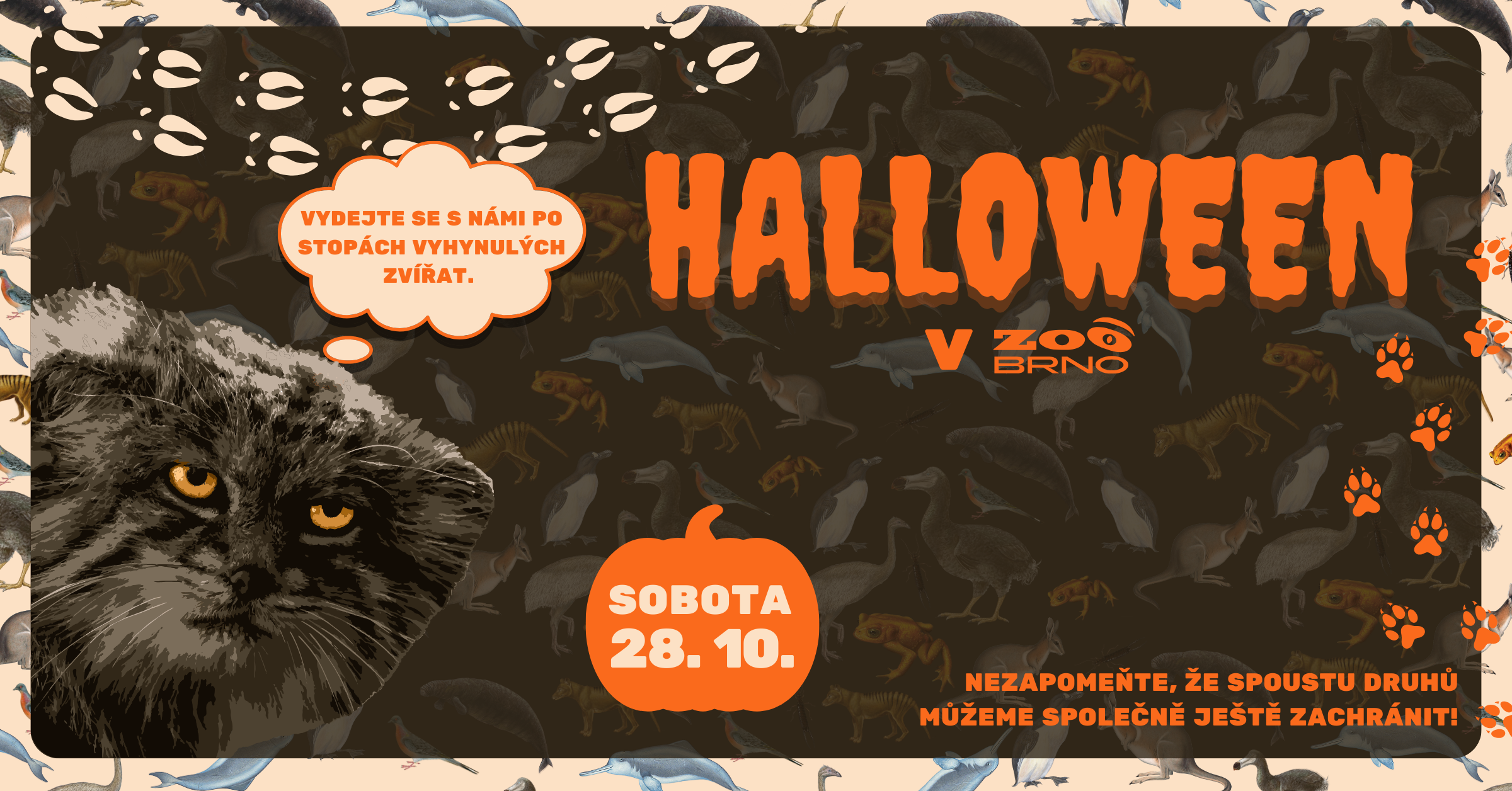 Halloween v Zoo Brno5