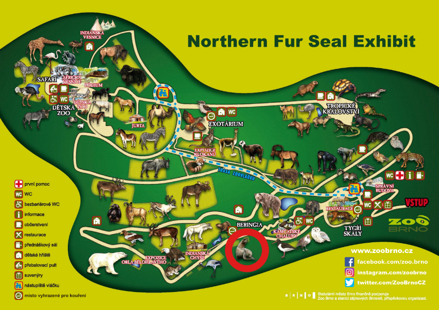 _Northern Fur Seal Exhibit_ok