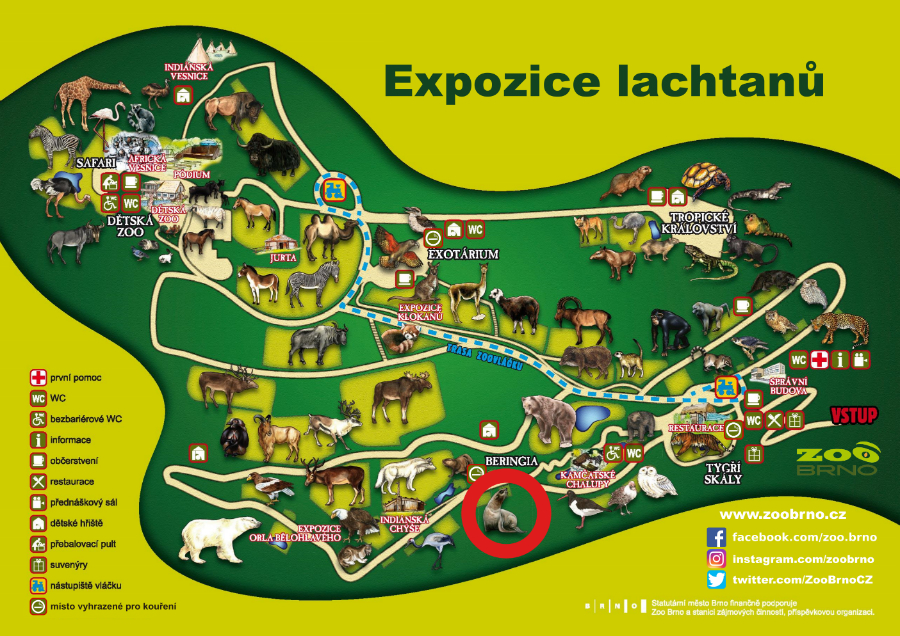 _expozice lachtanů_ok