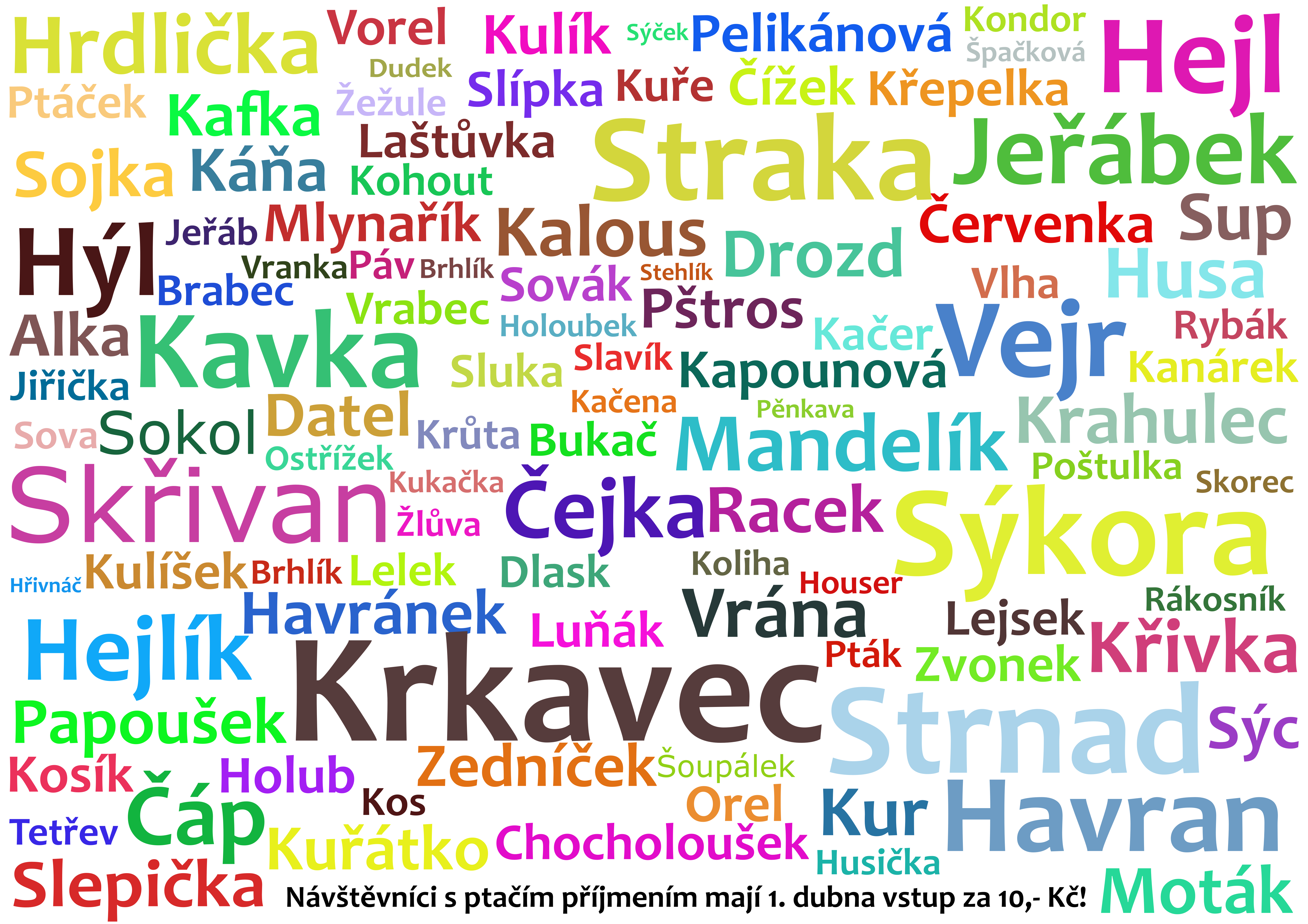 Jak žít s velkým ptákem