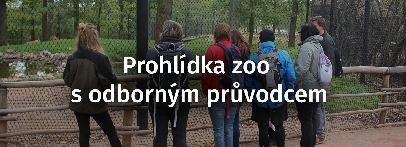 prohlídka s průvodcem_2023_ok