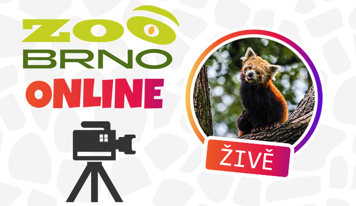 zoo brno online fb