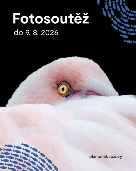 Plakát k fotosoutěži Zoo Brno