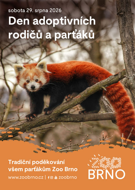 Plakát na den adoptivních rodičů