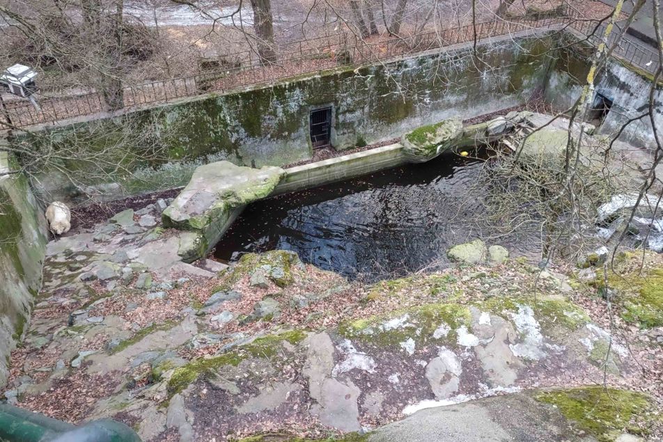 Pohled do starého výběhu pro lední medvědy