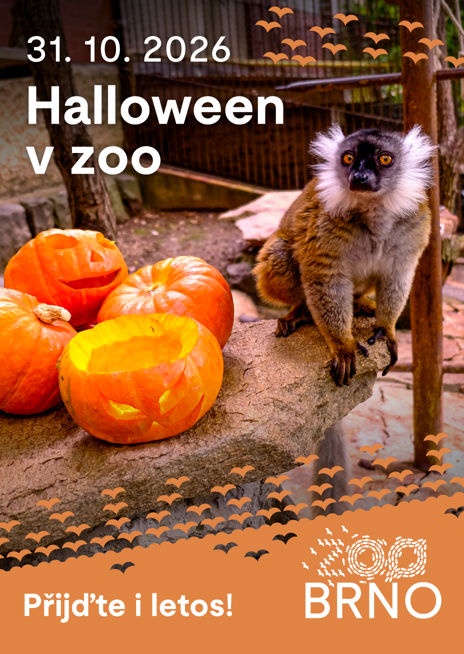 Halloween v Zoo Brno