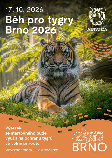 Běh pro tygry