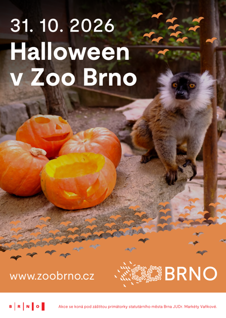 Halloween v Zoo Brno
