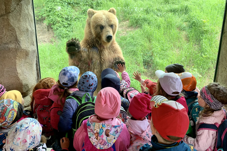 Fotografie medvěda a dětí, jak se na sebe dívají přes sklo