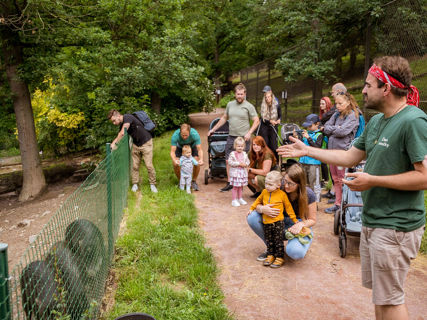Prohlídky s průvodcem