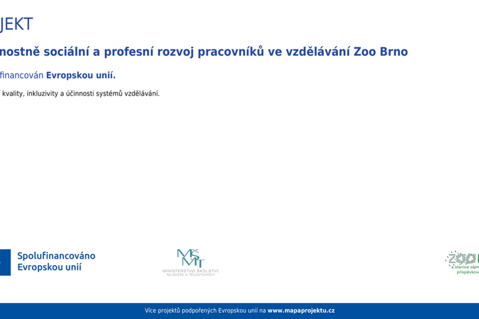 Vzdělávání zaměstnanců