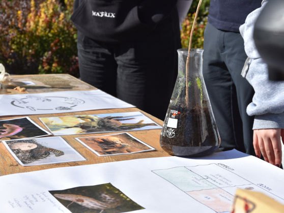 Fotografie zachycuje pomůcky na stanovišti soutěže