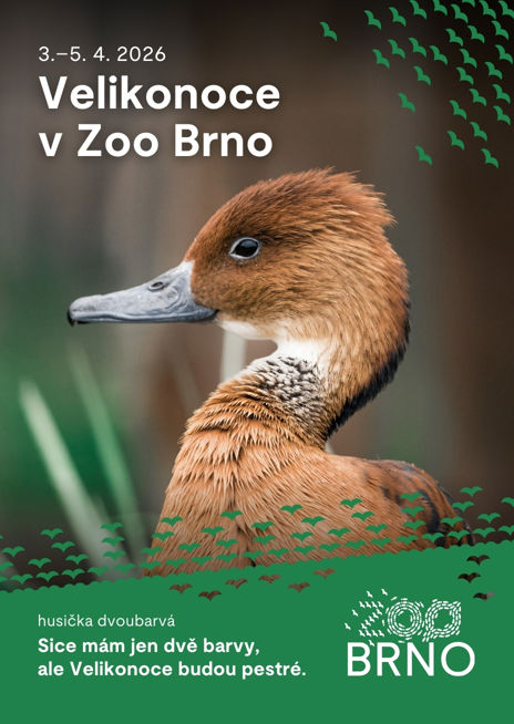 Plakátek k akci Velikonoce v Zoo