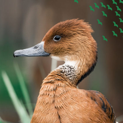 Plakátek k akci Velikonoce v Zoo