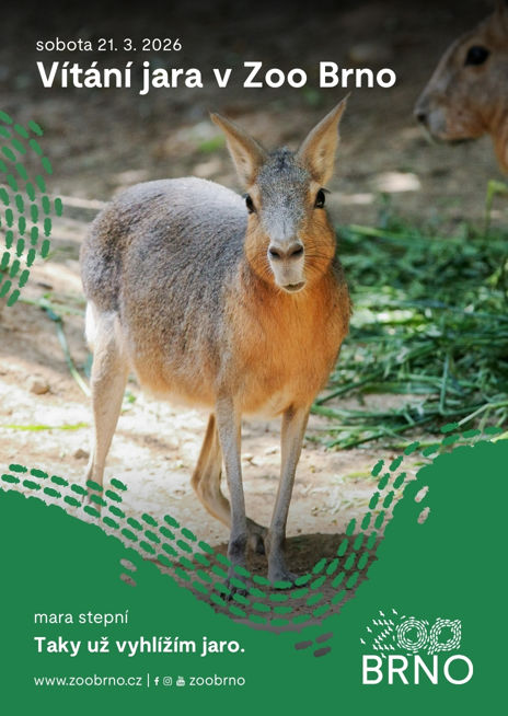 Plakátek k akci Vítání jara