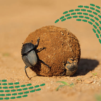 Prezentační fotka na Den Země v Zoo Brno