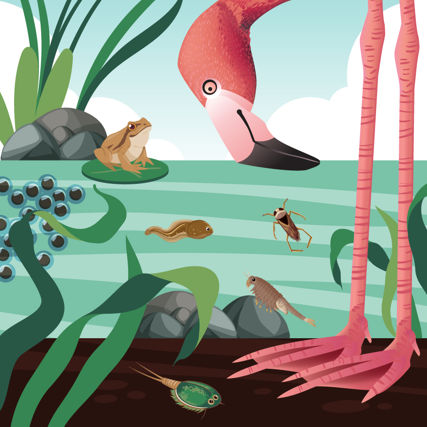 Vizualizace na Den přírodních věd v Zoo Brno