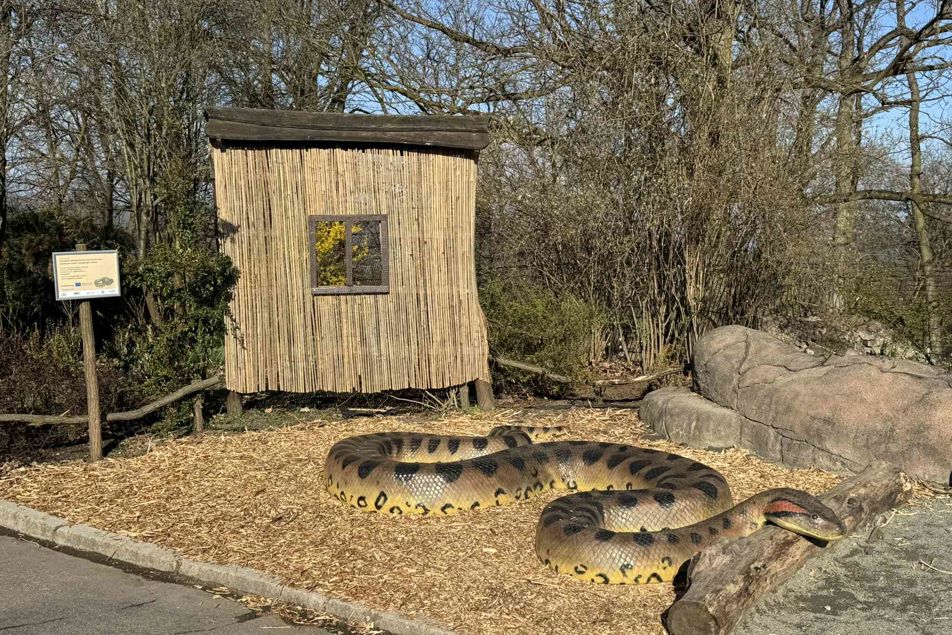 Socha anakondy velké z epoxidové pryskyřice v horní části zoologické zahrady.