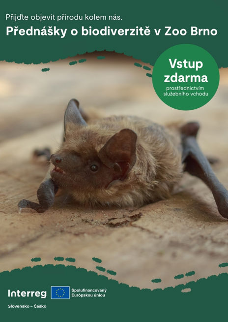 Netopýři kolem nás – s kým sdílíme městské prostředí