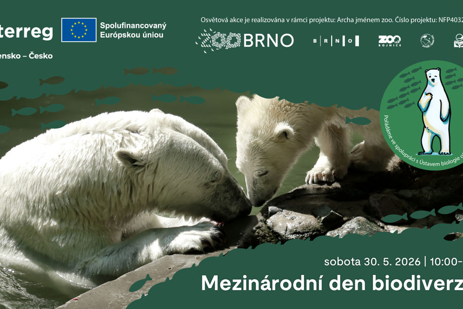 Pozvánka na Den biodiverzity