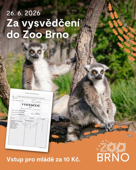 Plakát k akci Za vysvědčení do Zoo Brno.