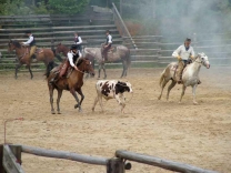 Wild West Boskovice 05.08.2006