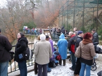 Christmas Feeding of Animals 24.12.2011