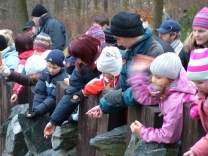 Christmas Eve Feeding of Animals 24.12.2007