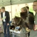 Christening of Kamchatka Brown Bear cubs