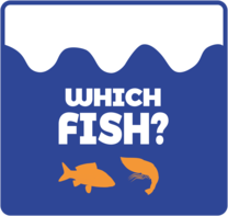 Which Fish?