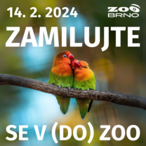 VALENTÝN V ZOO BRNO 2024