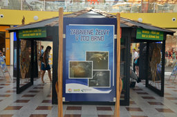 OBRAZEM: Výstava Zoo Brno zachraňuje želvy