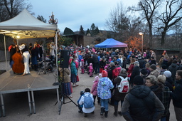 Lighting of the Christmas tree 29. 11. 2015