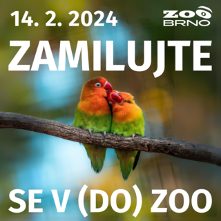 Valentýn v Zoo Brno