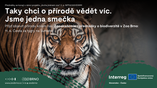 ZOOAKADEMIE: Moje cesta do indonéské divočiny za tygry sumaterskými