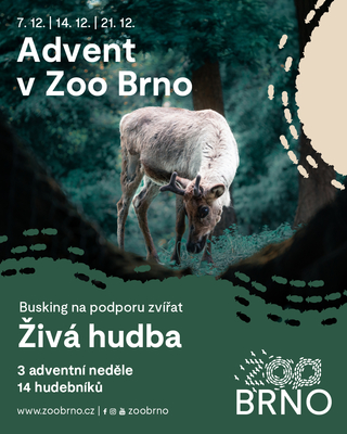 Advent v Zoo Brno