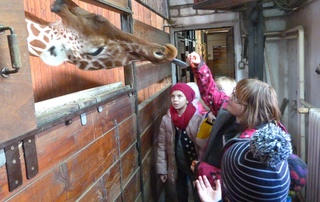 Spring Holidays at the Zoo