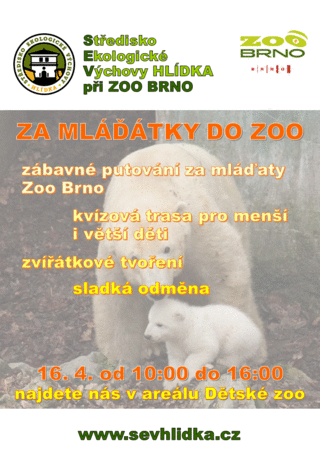 Křtiny ledního medvíděte